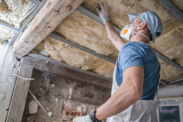 Best Insulation Installation Services in Patchogue, NY
